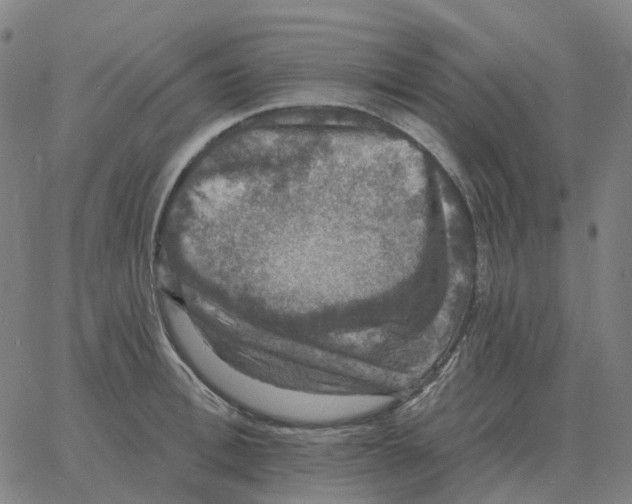 X0000060790996200512082119