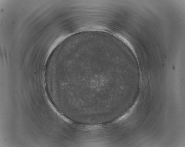 X0000060790997200512082119