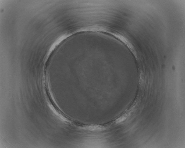 X0000060790998200512082119