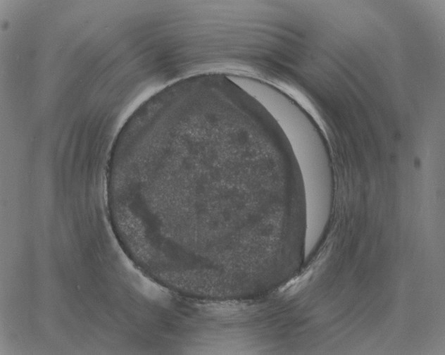 X0000060790999200512082119