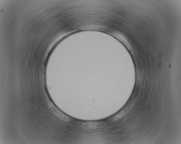 X0000060791000200512082119