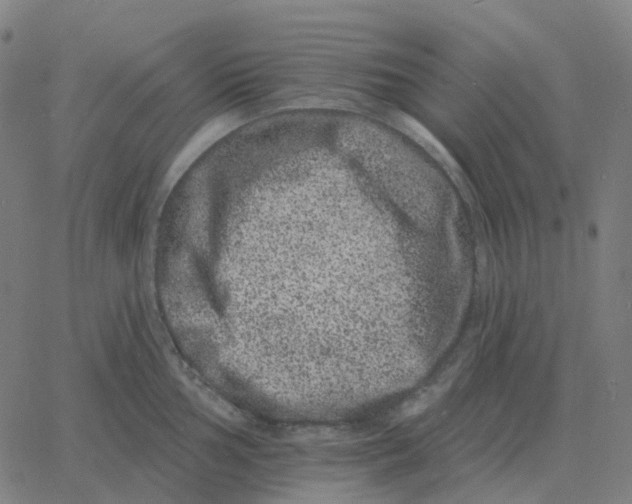 X0000060791002200512082119