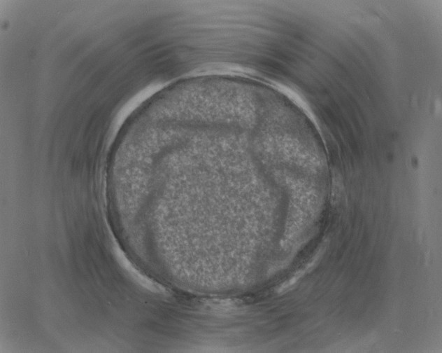 X0000060791003200512082119