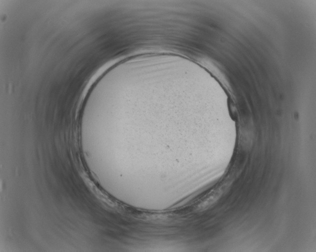 X0000060791004200512082119