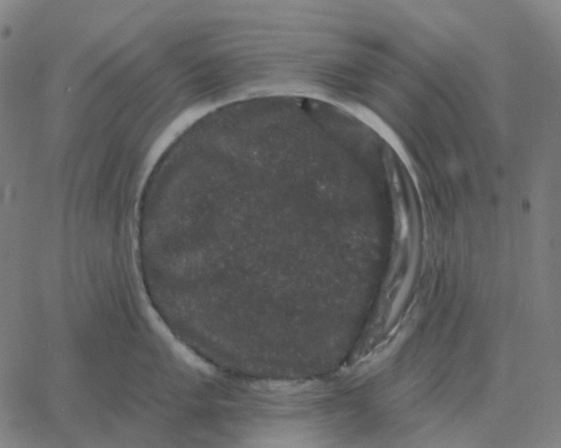 X0000060791005200512082119