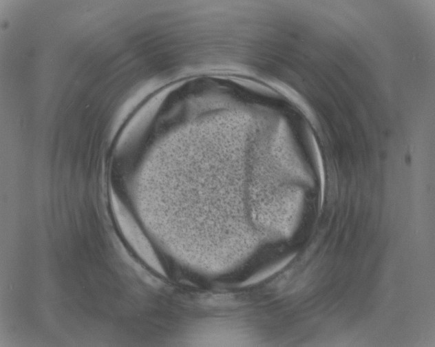 X0000060791006200512082119