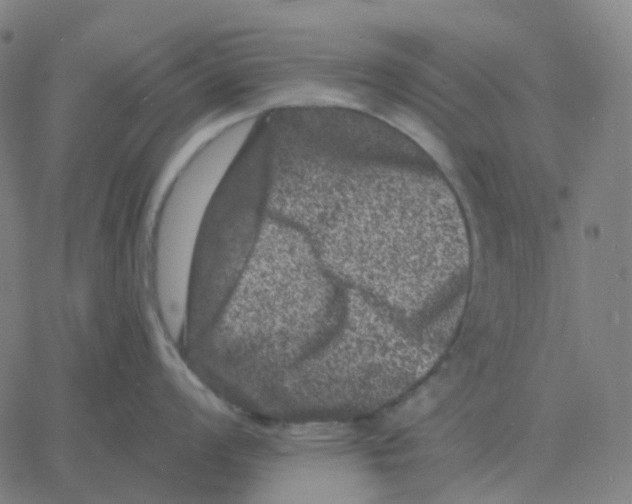 X0000060791008200512082119