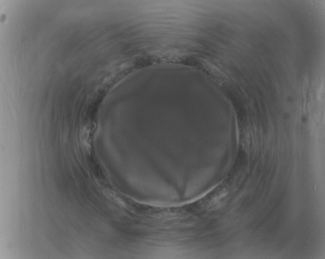 X0000060791010200512082118