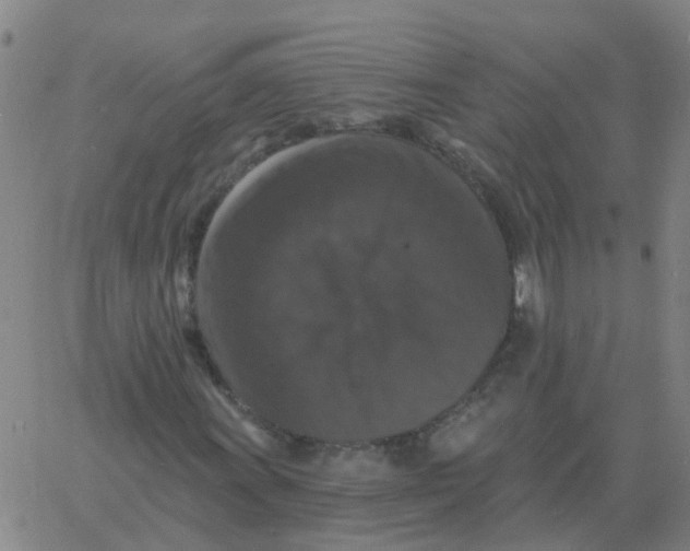 X0000060791011200512082118