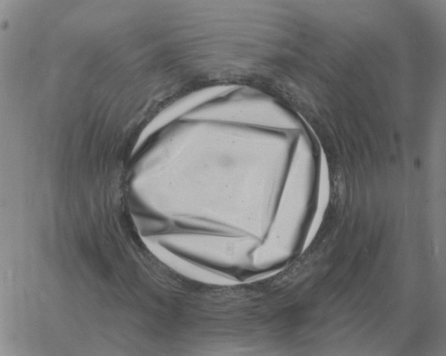 X0000060791012200512082118