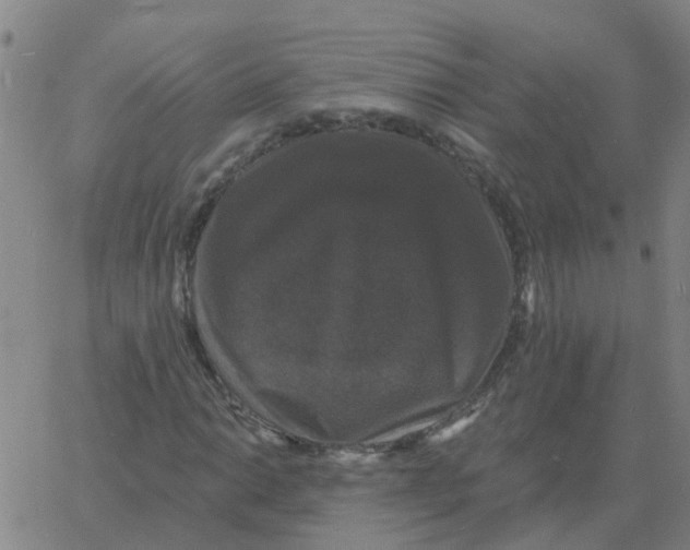 X0000060791014200512082118