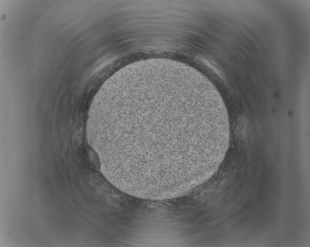 X0000060791015200512082118