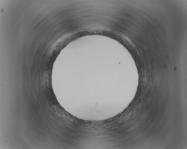 X0000060791016200512082118