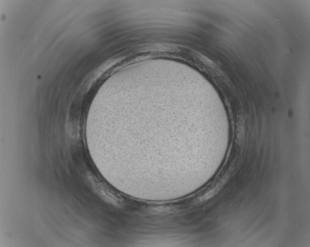 X0000060791017200512082118