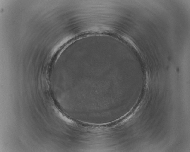 X0000060791018200512082118