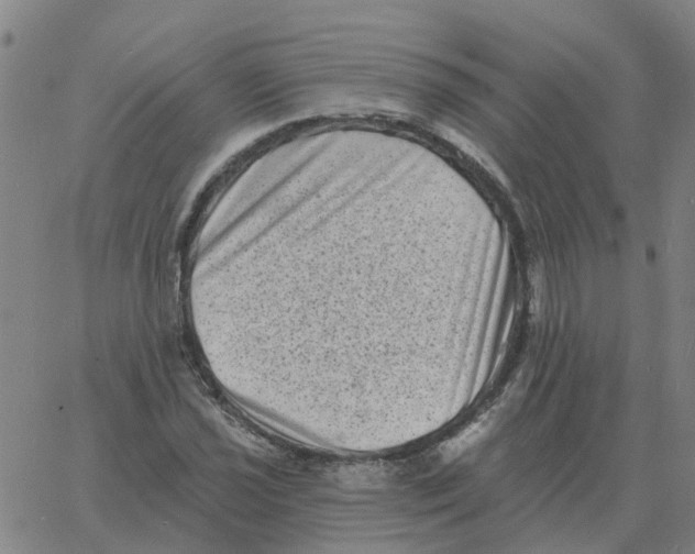 X0000060791021200512082119