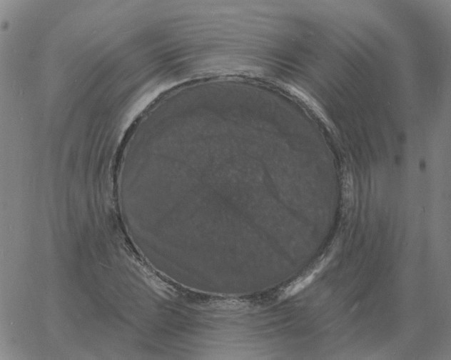 X0000060791023200512082119