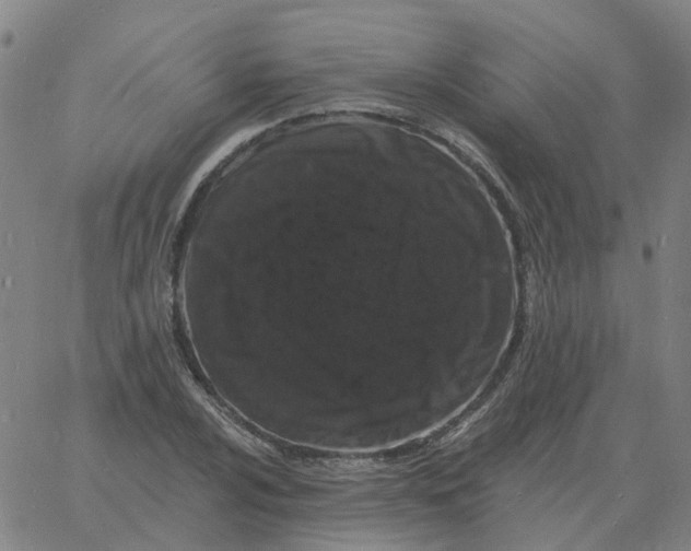 X0000060791024200512082119