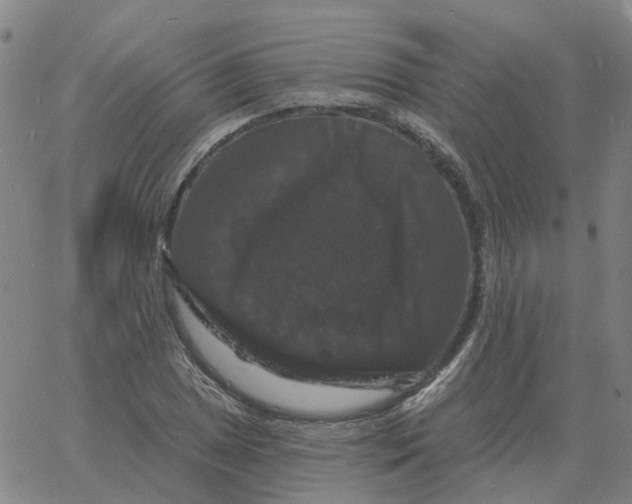 X0000060791025200512082119