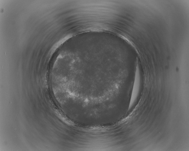 X0000060791026200512082119