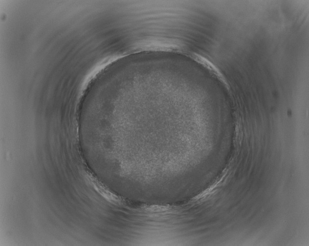 X0000060791027200512082119