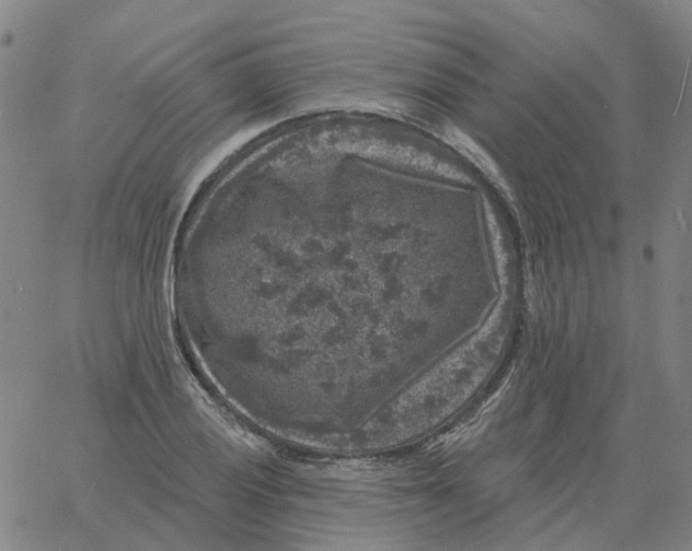 X0000060791028200512082119