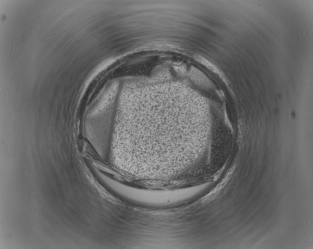 X0000060791029200512082119