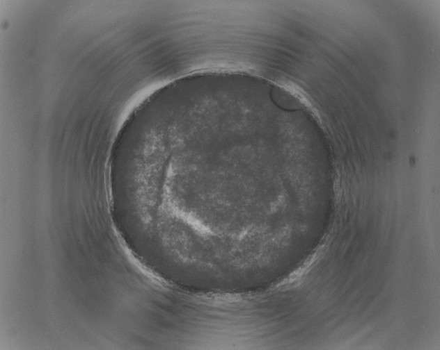 X0000060791030200512082119