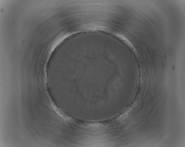 X0000060791031200512082119