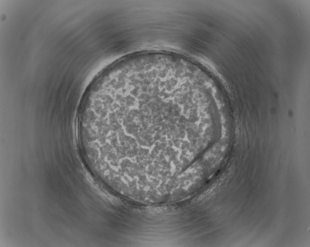 X0000060791032200512082119