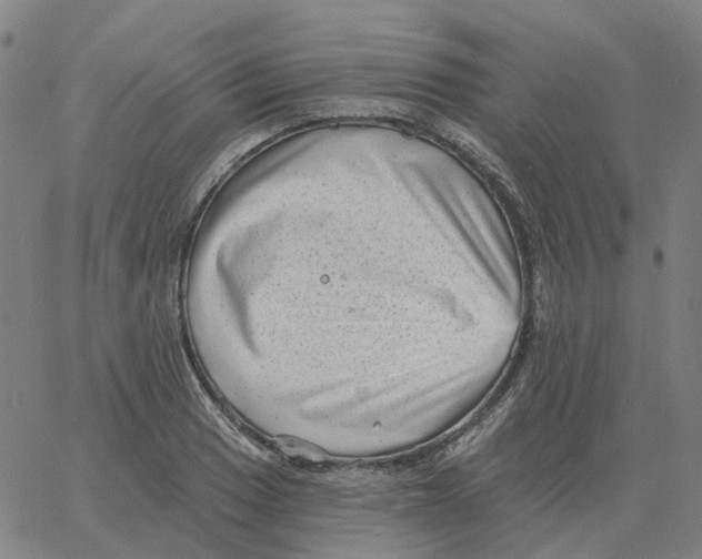 X0000060791033200512082119