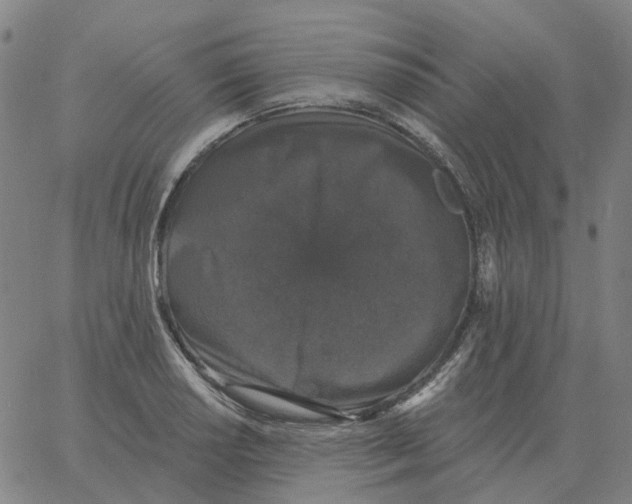 X0000060791034200512082119