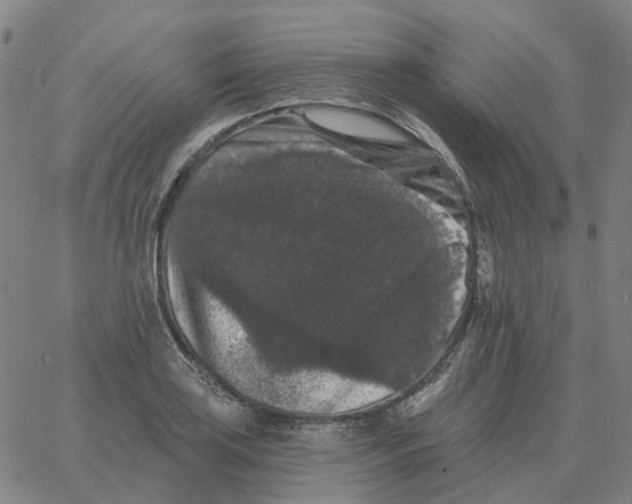 X0000060791035200512082119