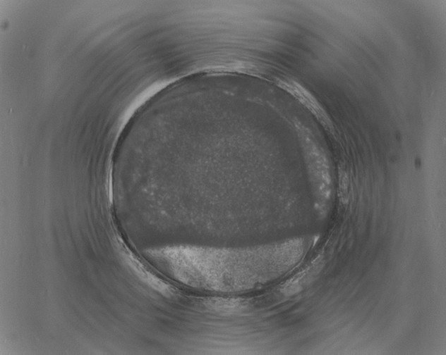 X0000060791036200512082119