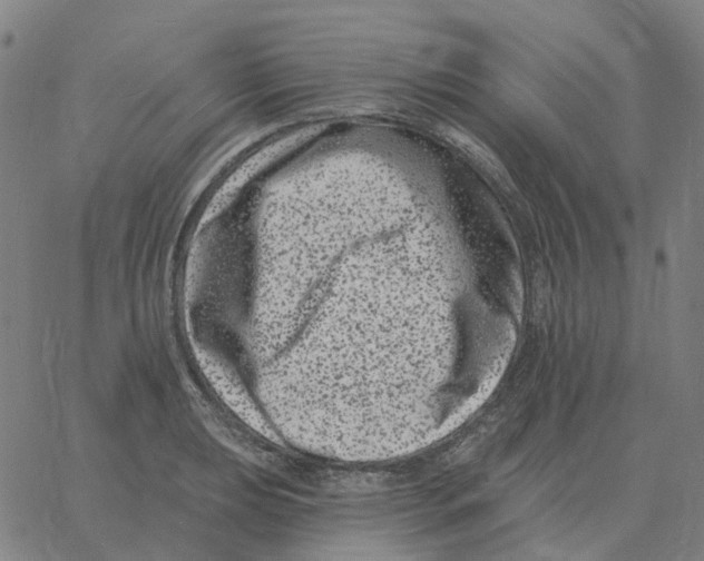 X0000060791039200512082119