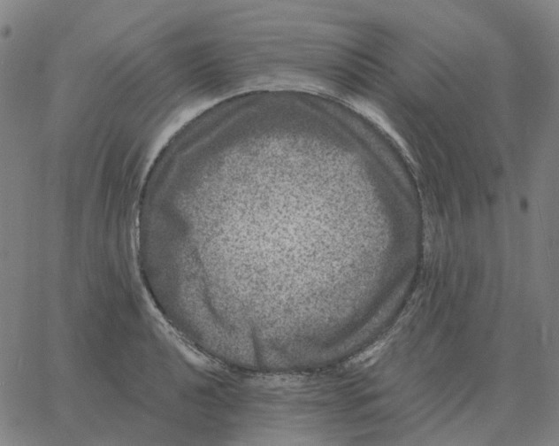 X0000060791040200512082119