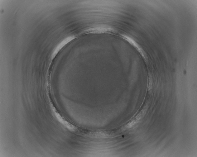 X0000060791042200512082119