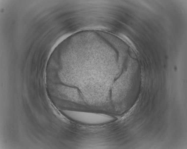 X0000060791044200512082119