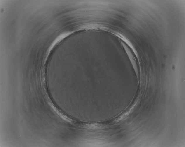 X0000060791045200512082119