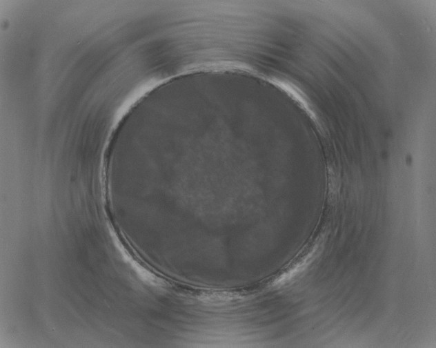 X0000060791046200512082119