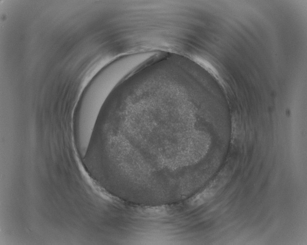 X0000060791047200512082119