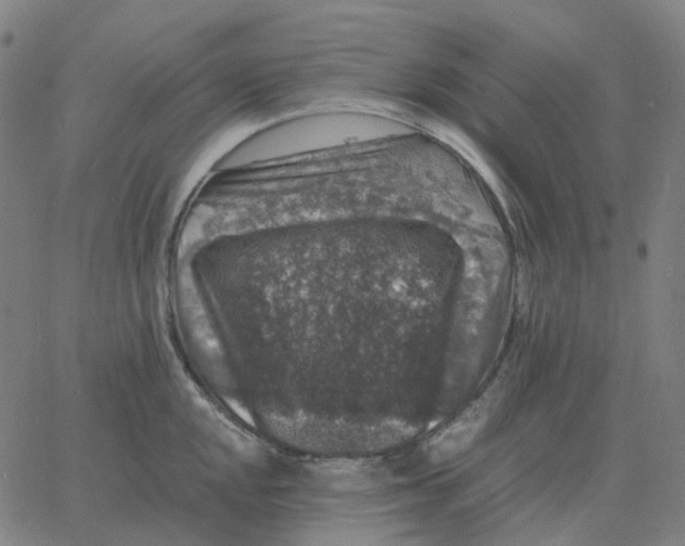 X0000060791048200512082119