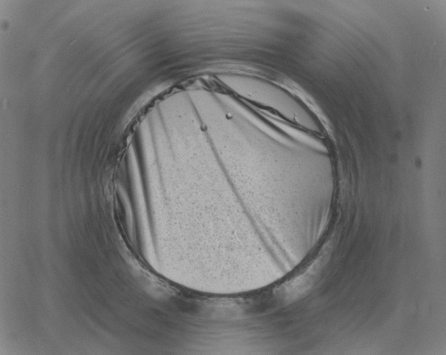 X0000060791049200512082119