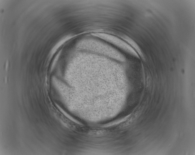 X0000060791051200512082119