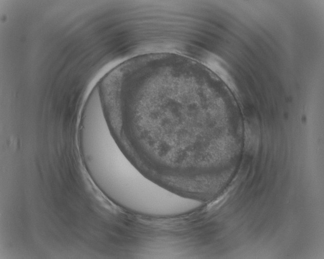 X0000060791052200512082119