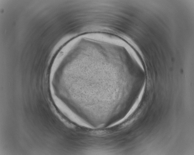 X0000060791053200512082119