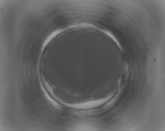 X0000060791054200512082119