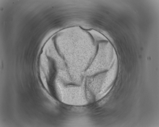 X0000060791056200512082119