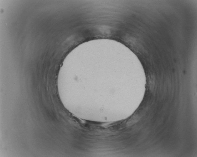 X0000060791057200512082118