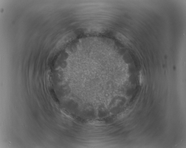 X0000060791059200512082118